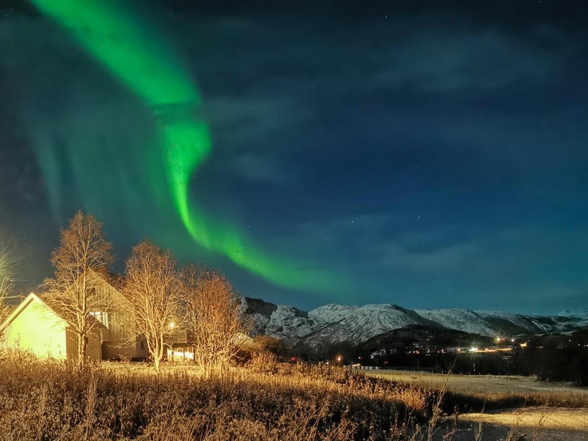 Tjeldoya Slott Hotel Hov  Bagian luar foto